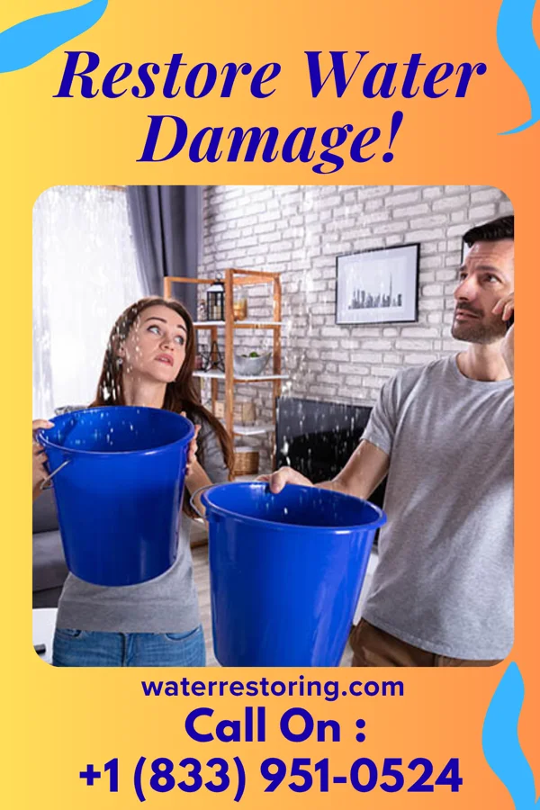 water restoration Recovery & Associates Ardentown