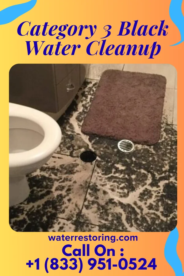 Category 3 Black Water Cleanup in Ardentown, DE