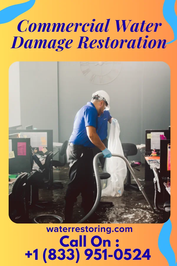 Commercial Water Damage Restoration in Ardentown, DE